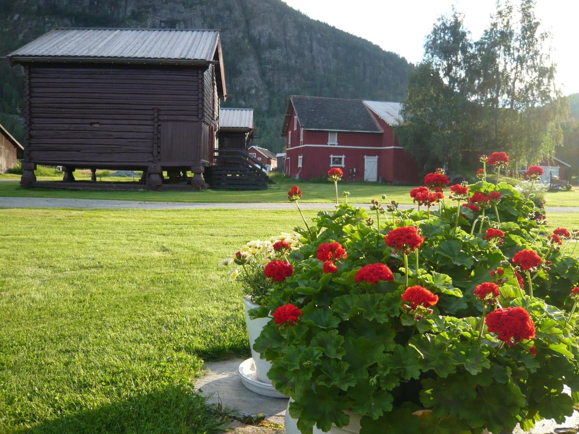 Hagaled Gjestegard Nesbyen Bagian luar foto
